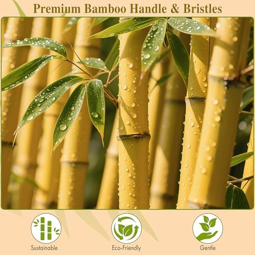 BFWood Bamboo Paddle Hair Brush, Detangler Hairbrush with Bamboo Bristles - Image 3