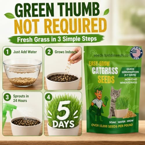 Cat Grass Wheatgrass Seeds, 1/2 lb - Non-GMO, Pet Safe - Image 4