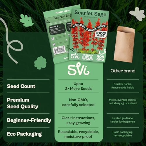 SVI 1000 Red Sage Seeds for Planting Outdoors (Salvia coccinea) – Scarlet sage, Deer Resistant Wildflower – Heirloom Flower Seeds to Plant Outside & Inside Garden, Beds, Containers - Image 6