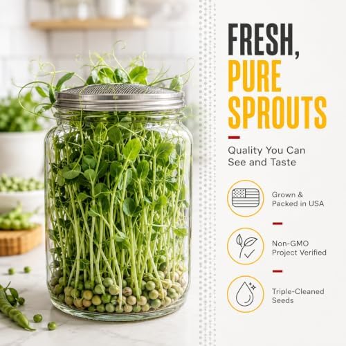 Todd's Seeds Green Pea Sprouting Seeds 2lb – Non-GMO Triple-Cleaned - Image 2