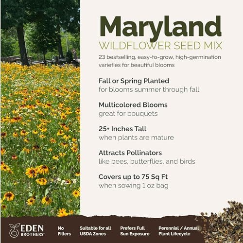 Eden Brothers Maryland Wildflower Mixed Seeds for Planting, 1 oz - Image 2