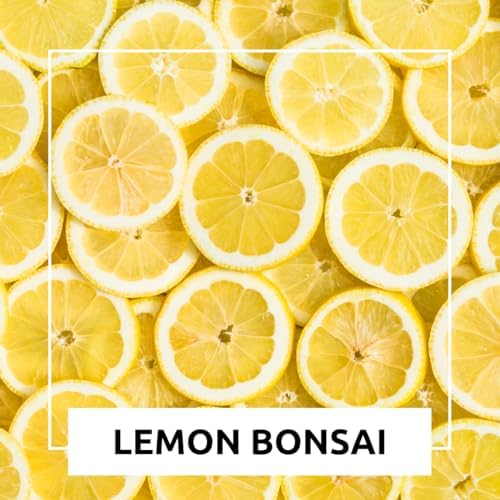 Dwarf Lemon Bonsai Tree Seeds, 20 Seeds, Grow a Delicious Fruit Bearing Bonsai Tree, Great for Home Gardening - Image 5