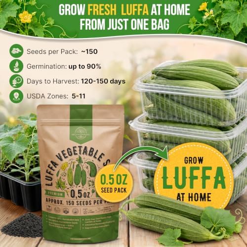 150 Luffa Seeds for Planting - 0.5 oz Heirloom Pack 2026, Loofah Aegyptiaca Gourd Seeds Non-GMO for Outdoor Vegetable Gardens and Trellis Vines - Image 4