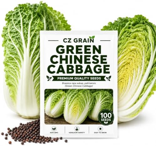 Chinese Cabbage Seeds to Plant | 100 Seeds | Green Asian Garden Vegetable by CZGrain