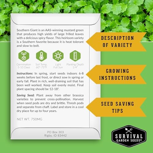 Southern Giant Mustard Green Seeds for Planting - 2 Packs - Image 2