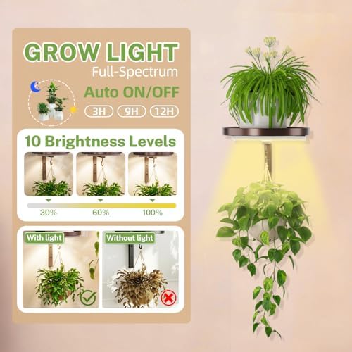 Plant Wall Hanger with Grow Lights Set of 2 for Indoor, Bronze - Image 3
