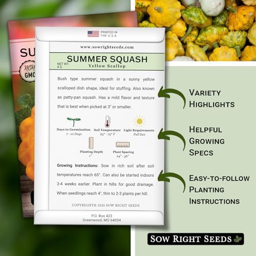 Sow Right Seeds - Yellow Scallop Summer Squash Seed for Planting Garden 2pk - Image 2