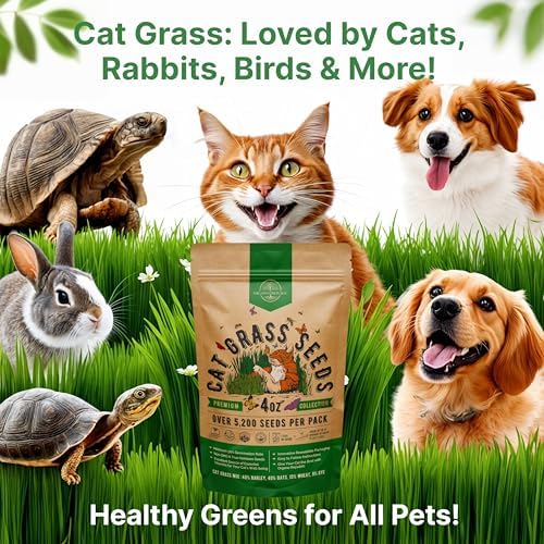 Cat Grass Seeds Mix - 5,200 Non-GMO Heirloom Seeds for Cats & Pets, 4 oz Pack for Growing Fresh Barley, Oat, Rye & Wheat Grass Seeds for Planting, Indoor Plants for Pets, Hairball Remedy for Cats - Image 6
