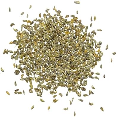 Seed Needs Italian Flat Leaf Parsley Seeds to Plant an Herb Garden - 1 Pack - Image 6