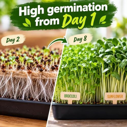 Microgreen Seeds - USA Premium 10 Variety Seeds Pack - Image 3