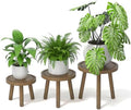 3-Pack Wood Plant Stands Indoor, Single Plant Stand for 6-12 Inch Pots, Mid-Century Modern Plant Stool, Tall Plant Stand for Large Plants for Living Room, Balcony, Office (Dark Gray) by Unknown