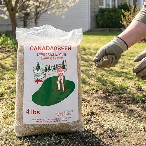 Canada Green Grass Lawn Seed - 4 Pound Bag Grows Healthy Rich Green Fast Growing Grass Lawn Seed Plants Yard Garden by UsolvebyCanadaGreen%C2%AE