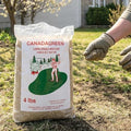 Canada Green Grass Lawn Seed - 4 Pound Bag Grows Healthy Rich Green Fast Growing Grass Lawn Seed Plants Yard Garden by UsolvebyCanadaGreen%C2%AE
