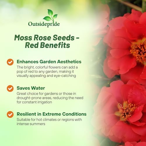 Outsidepride Red Moss Rose Seeds - 10000 Pcs Annual, Drought & Heat Tolerant, Pollinator Friendly Ground Cover Seeds for Planting w/Vibrant Blooms & Succulent Foliage, Ideal for Xeriscaping - Image 3