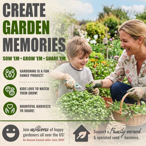 Seed Needs Spicy Globe Basil Seeds to Plant an Herb Garden - 5 Packs - Image 6