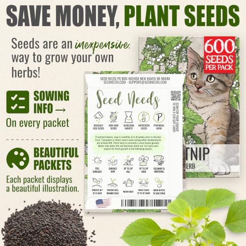 Seed Needs Catnip Seeds to Plant an Herb Garden - 2 Packs - Image 3