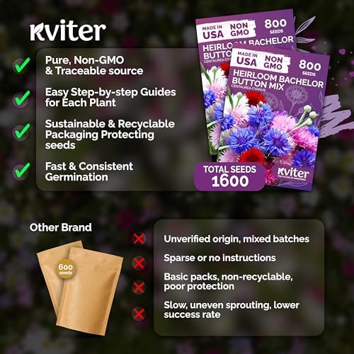 1,600 Mix Bachelor Button Heirloom Flower Seeds, Centaurea cyanus - Image 5