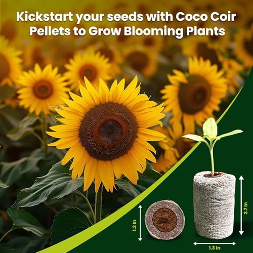 Gro-Med Organic Coco Coir Seed Starter Pellets NPK Enriched 50 Pcs, 35mm Perfect to Grow Herbs, Vegetables, Flowers,Fruits Seedlings, Compressed Coconut Coir Soil Plugs - Easy to Transplant in Pot - Image 2