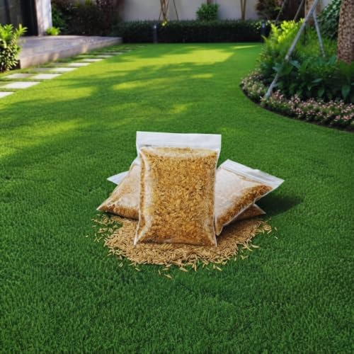 120,000 Emerald Zoysia Grass Seeds for Lawn Gardening Outside by Unknown