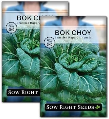 Sow Right Seeds - Bok Choy Seed for Planting Pak Choi Chinese Cabbage 2pk by SowRightSeeds
