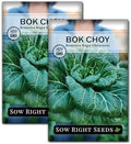 Sow Right Seeds - Bok Choy Seed for Planting Pak Choi Chinese Cabbage 2pk by SowRightSeeds