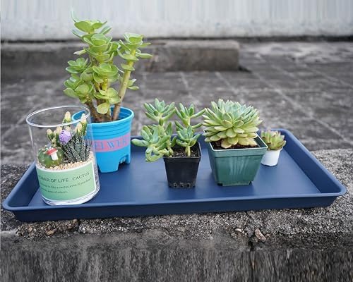 VUWEZ Rectangle Plant Tray, Plant Drip Tray, Plant Pot Saucers, Plant Germination Trays, Plant Saucers, 11'' x 9'' x 1.2'' (2 pack), Blue - Image 4