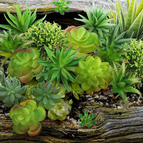 QUOZUO 22pcs Artificial Succulents Realistic Mini Succulent Plants, Green Succulents Small Plants for DIY Crafting Garden Home Arrangement Office Decorations (Unpotted) - Image 6