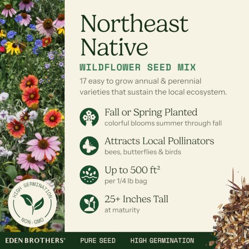 Eden Brothers Native Northeast Wildflower Seed Mix, 1/4lb, 17 Wild Flower Seed Varieties, 100% Pure Seed No Fillers,Bulk Wildflower Seeds for Planting Outdoors,Attracts Pollinators & Hummingbirds - Image 2