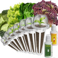 inbloom Salad Seed Pod Kit Compatible with AeroGarden, Ahopegarden, iDoo, MUFGA Hydroponics Growing System, 400+ Mixed Seeds with American Fast/Paris Island/Buttercrunch/Romaine Lettuce (7-Pod) by inbloomgarden