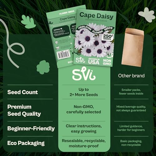 SVI 250 Cape Daisy Seeds (Osteospermum ecklonis) – African Daisy Seed Packets, Heirloom Daisies Flower Seed with Purple Eyes – Long Blooming Annual Cut Flower Seeds Packets, Outdoor Garden, Containers - Image 6
