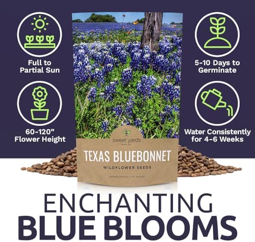 Texas Bluebonnet Wildflower Seeds - Bulk 1/4 Pound Bag - Over 4,000 Native Seeds - Texas State Flower! - Image 6
