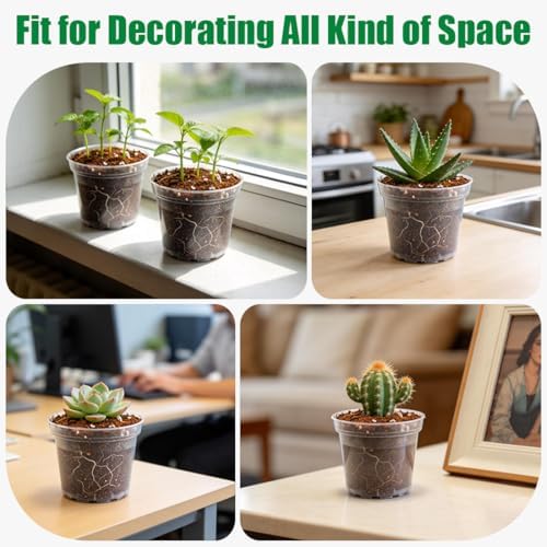 BTPLASTIK 50 Pack 3 Inch Clear Nursery Pots with Drainage Hole, Small Transparent Seed Starter Pots, Sturdy Plastic Plant Pot for Planting Seedlings Vegetables Flowers (3Inch-50P) - Image 6