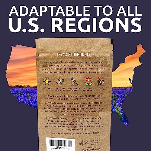 Texas Bluebonnet Wildflower Seeds - Bulk 1/4 Pound Bag - Over 4,000 Native Seeds - Texas State Flower! - Image 7