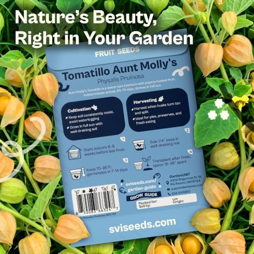 SVI 500 Pineapple Ground Cherry Seeds (Physalis pruinosa) – Tomatillo Seed Packets, Golden Berries, Ground Cherries Seed Pack – Annual Heirloom Fruit and Vegetable Seeds For Outdoor Garden, Raised Bed - Image 2