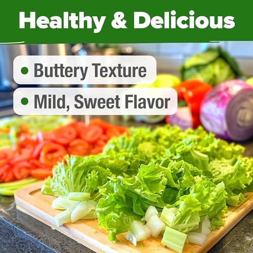 HOME GROWN Buttercrunch Bibb Lettuce Seeds, 3950+ Seeds, Lactuca sativa - Image 6