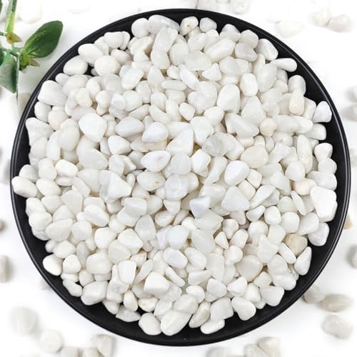 YISZM 5LB Succulent and Cactus Gravel Pebbles, 3/8 Inch White Stones by YISZM-ForYourNaturalLife