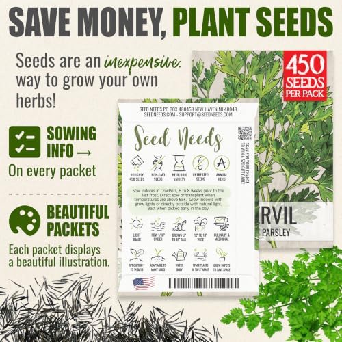 Seed Needs Chervil Seeds to Plant an Herb Garden - 5 Packs - Image 3