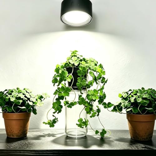 Artificial Shamrock Potted Plants, Set of 2 Indoor Faux Clover Decor - Image 3