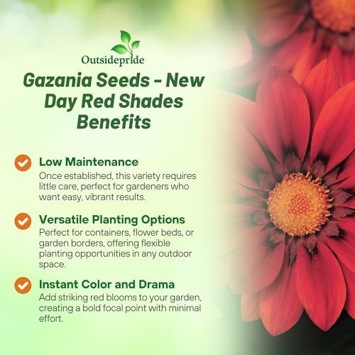 Outsidepride New Day Red Shades Gazania Seeds for Planting – 25 Pcs Perennial, Low-Maintenance, Drought-Tolerant Ground Cover Seeds for Vibrant Summer & Fall Flowers, Great for Outdoor Gardens - Image 3