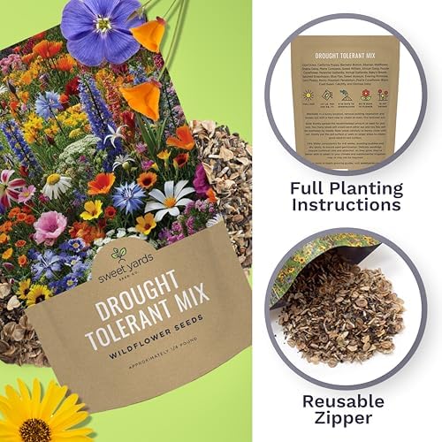 Drought Tolerant Wildflowers Mix – Bulk Quarter Pound Bag – Over 30,000 Open Pollinated Non-GMO Seeds – 21 Different Dryland Species - Image 5