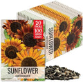 Seed Needs Earthwalker Sunflower Seeds to Plant Cut Flowers - 20 Packs by SeedNeeds