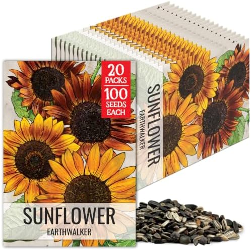 Seed Needs Earthwalker Sunflower Seeds to Plant Cut Flowers - 20 Packs by SeedNeeds