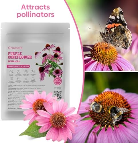 Purple Coneflower Seeds 1OZ Perennial Flower Seed for Planting - Echinacea - Image 6