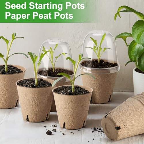 36 Set 3.15 Inch Peat Pots Plant Starters for Seedling with Humidity Dome - Image 6