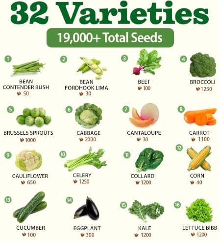 HOME GROWN 32 Variety Survival Seed Vault, 19,000+ Vegetable & Fruit Seeds - Image 2