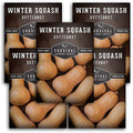 Butternut Squash Seeds for Planting - 5 Packs by SurvivalGardenSeeds