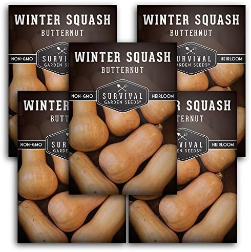 Butternut Squash Seeds for Planting - 5 Packs by SurvivalGardenSeeds