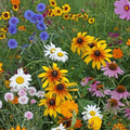Eden Brothers Cut-Flower Wildflower Seed Mix by EdenBrothers
