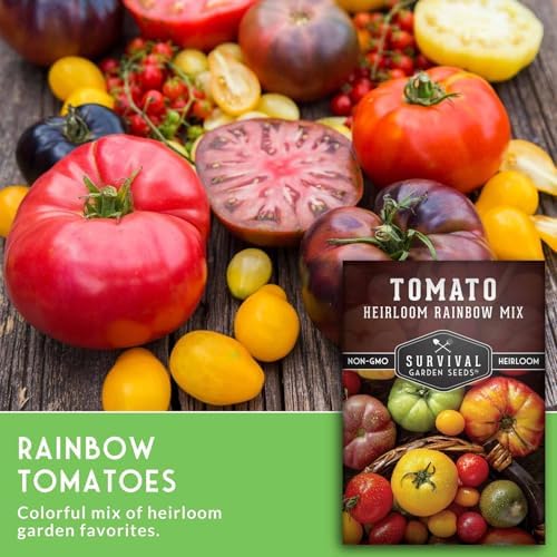 Heirloom Rainbow Mix Tomato Seeds for Planting - 2 Packs - Image 3