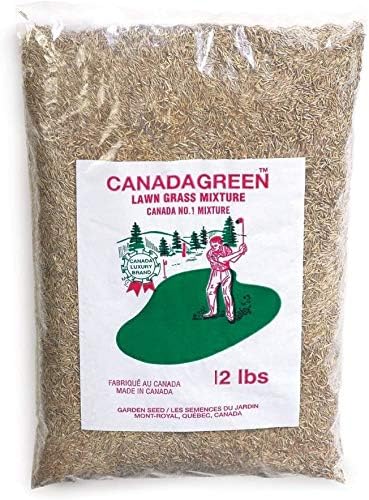 Canada Green Grass Lawn Seed - Grows Healthy Rich Green Grass Lawn Seed Plants Yard Garden 12 Pound Bag - Image 2